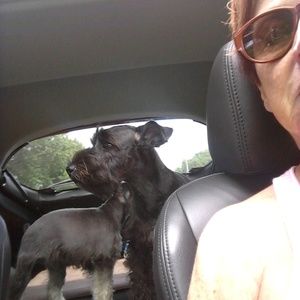 Meet your Posher, Jeannine